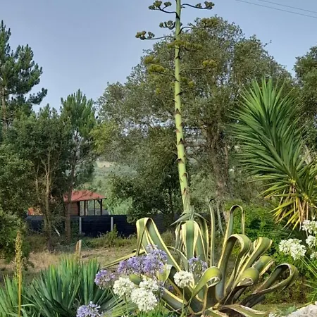 Canto Azul Nyaraló Casal da Carreira