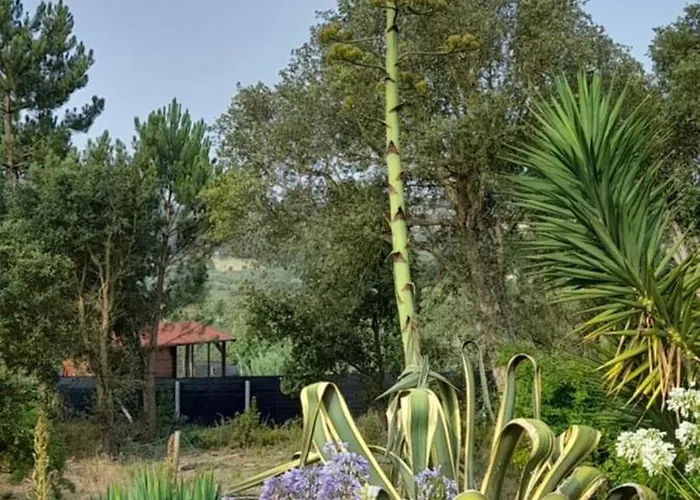 Canto Azul 度假居 Casal da Carreira