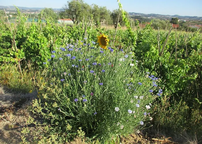 Gite Canto Azul بيت للعطل