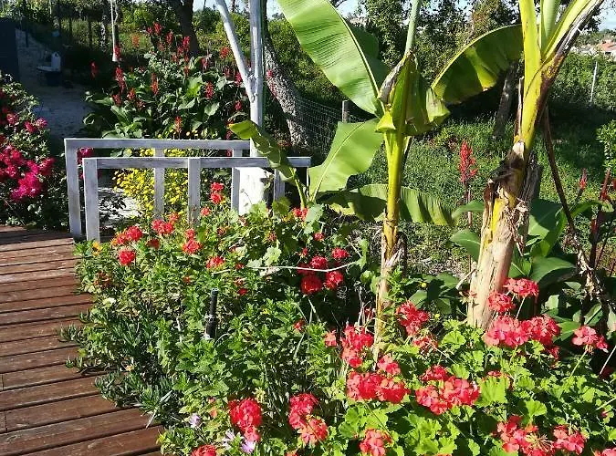 Canto Azul * Casal da Carreira